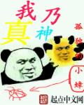 一级做爰全过程片视频