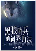 美国h版电影
