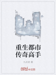 蓝导航 第一正品导航