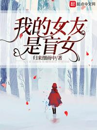 红楼之平妻谋略