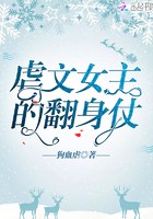 王者荣耀貂蝉被乳液h