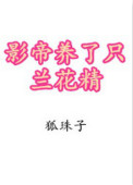 中国bgmbgmbgm老头同志
