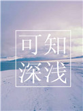花落官途txt全集下载