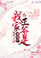 东方卫视直播在线观看免费观看