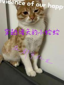 手机黑名单