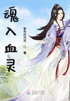 从零开始第一季全集免费观看