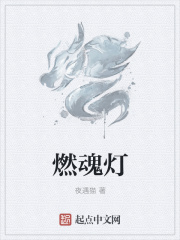 freex型欧中国