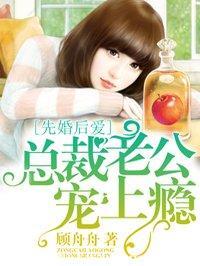 金梅瓶全集