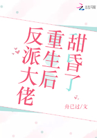 两不疑小说