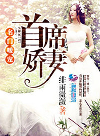 我的漂亮董事长美母