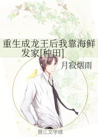 最新驾校2024宝典