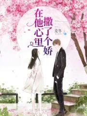 一品夫人成长记