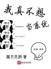 小说少女的心