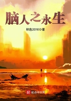 璀璨人生电视剧免费观看