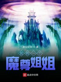 vidz中国人学生