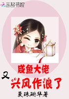 青春不言败电视剧全集免费观看