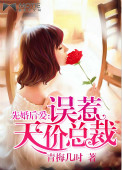 总裁不要x那里