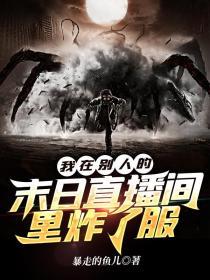 异界圣骑士