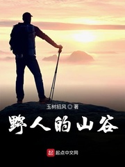 都市风月奇谭vip合集