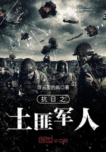 灰毛衣在线观看完整版