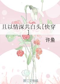 野花2024最新社区免费