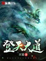重生卡卡西之木叶银狼