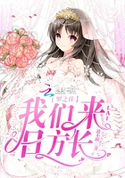 陀螺游戏