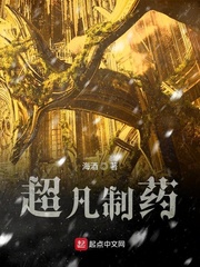 精打细算小说