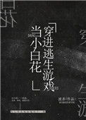美利坚合众国保护网站