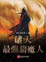 海贼王之邪恶收美系统