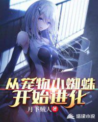 官场美人