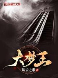 我的兽夫们