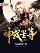 顾南娇霍时深的