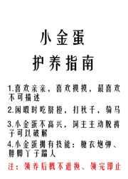 音乐鬼才穿越重生免费阅读