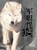 盲侠大律师百度云