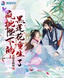 公交h文