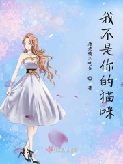 海贼王无尽的航海2