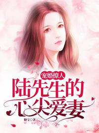 墨宝非宝的全部小说