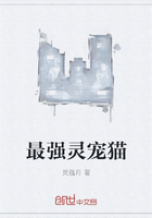 女生的腰子多少万