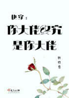 护国神帅叶无道免费