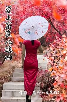 被轮小说