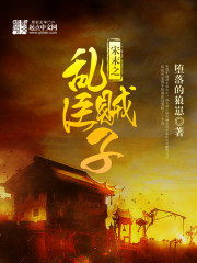 大团结之阿庆乱史目录