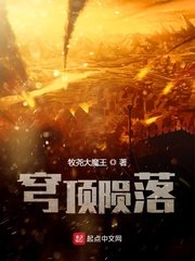 新不了情电视剧