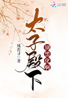 电竞H