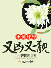 重生之军婚
